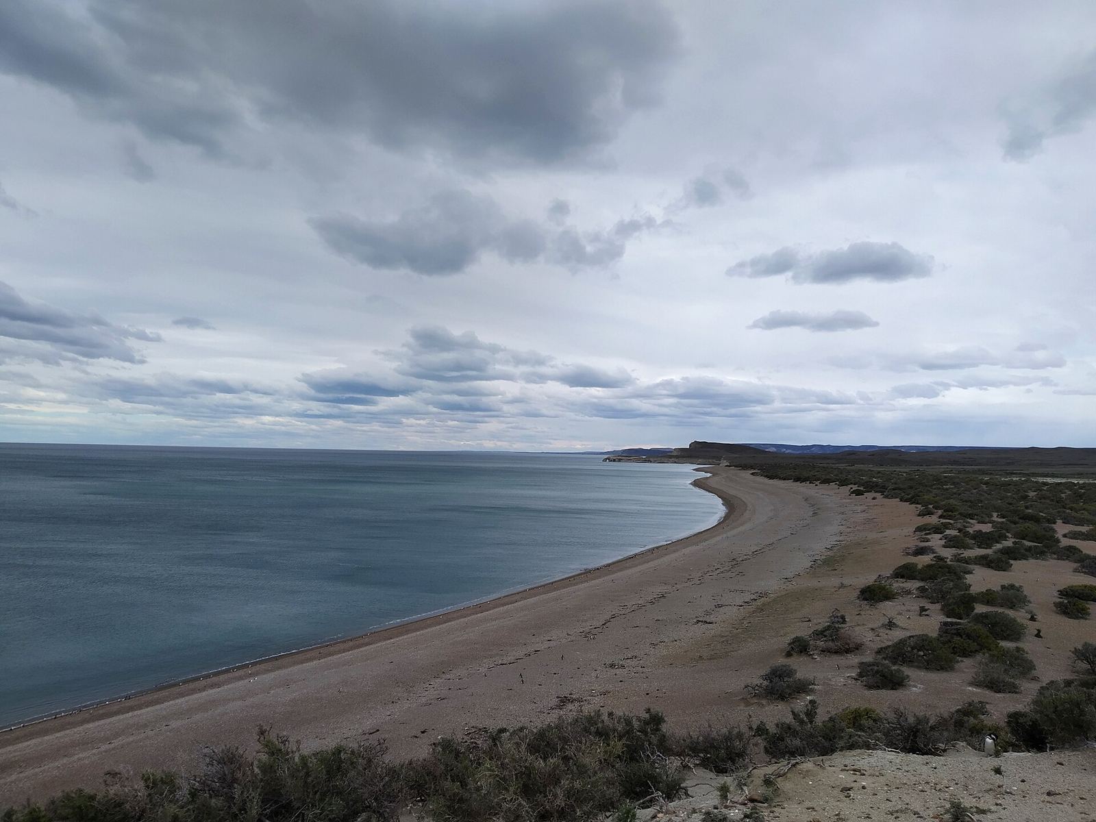 Patagonian coast and steppe in Monte León National Park, Santa Cruz